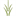 moderaphia.com