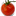 tomatopro.com