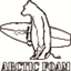 arcticfoam.us