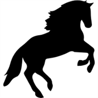 horseactivist.com