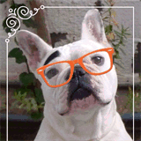 hotelmargaritaparos.com