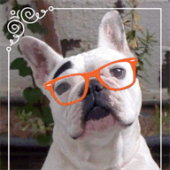 hotelmargaritaparos.com