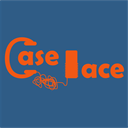 caselace.com