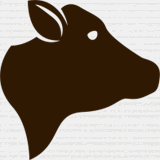 firmupyourbusiness.com