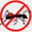 bugsnw.com