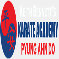 kingstonnymartialarts.com