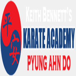 kingstonnymartialarts.com