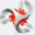 thecopymaster.net