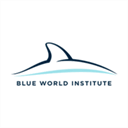 blueworldmedia.net