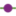 srsm.org