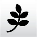 valuesinamericanlife.com