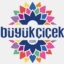 buyukcicek.com