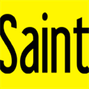 thesaint.co