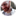 barog.net