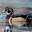 mixing-pixels.com