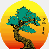 missionviejokarate.com