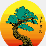 missionviejokarate.com