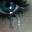 ckywi.wordpress.com