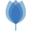 gtctrust.com