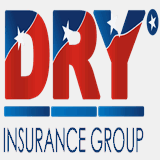 dryins.com