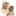mtk-at.org
