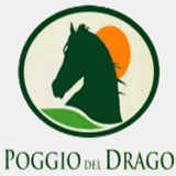 poggiodeldrago.com