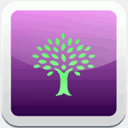 dawnmiceliwebdeveloper.com
