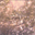 theboyinthesky.bandcamp.com