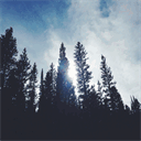 theartofdiscovering.com