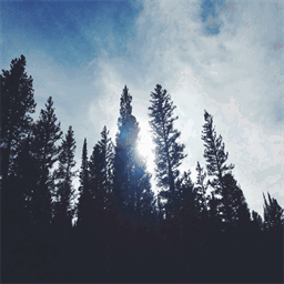 theartofdiscovering.com