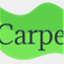 mctcarpetcare.com