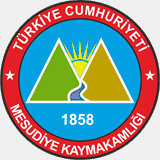 mesudiye.gov.tr