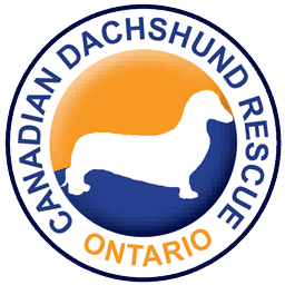 canadiandachshundrescue.com