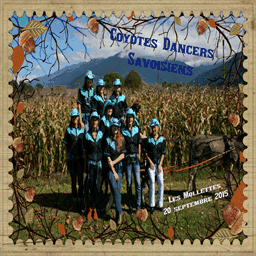 coyote-dancers.over-blog.fr