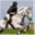 scottharrisonequestrian.wordpress.com