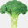 screamingbroccolli.com