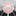 dcchialpha.com