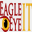 eagleyeit.com