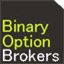 binaryoptionbrokers.biz