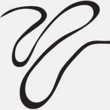 cleaningpinellas.com