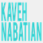 kavehnabatian.com