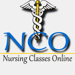 nursingclassesonline.net