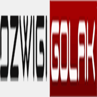 dzwigi-golak.pl