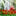 tulipdo.wordpress.com