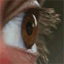 lgscm.com