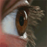 lgscm.com