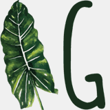 greatlakesindoorplanthire.com.au