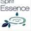 thespiritessence.com