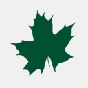 buzzinformatique.com