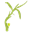 appyapp.net